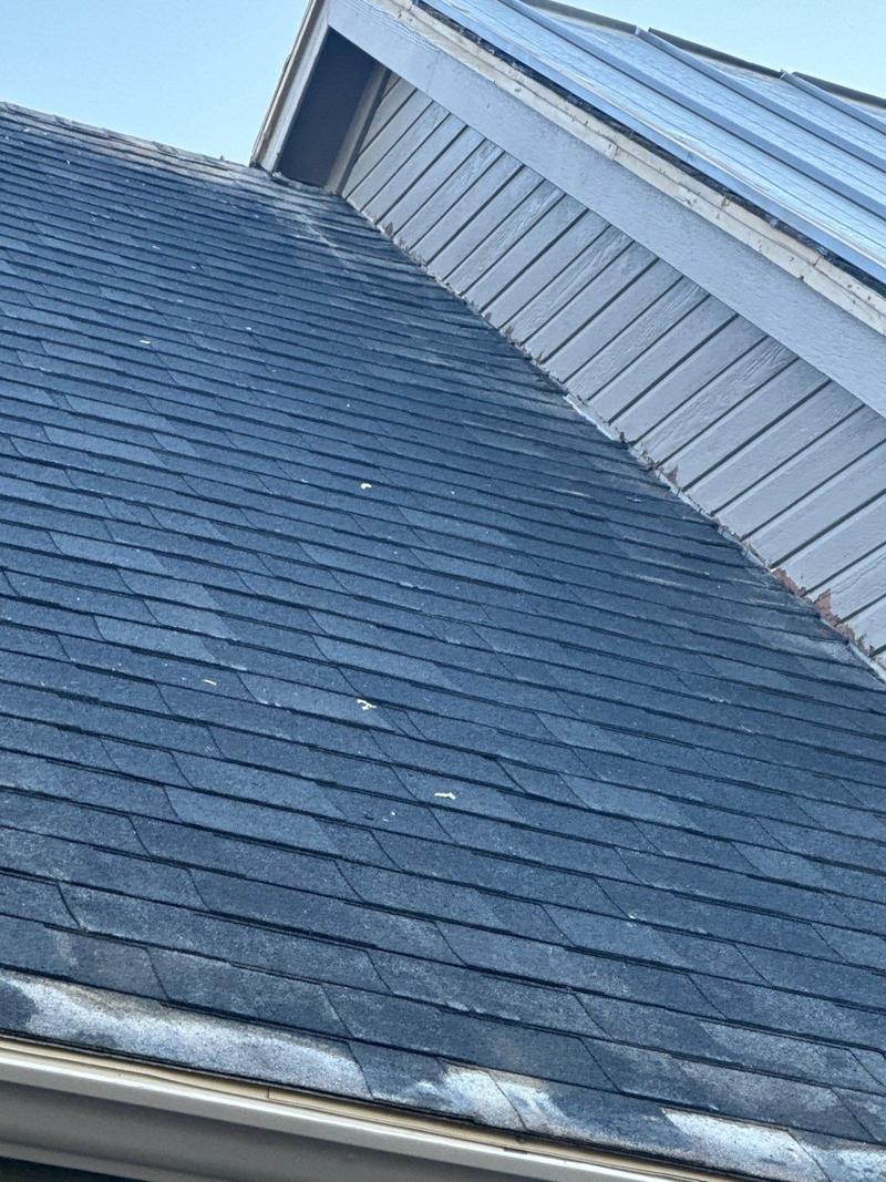 Old asphalt shingles next to new standing seam metal panels during a roof conversion